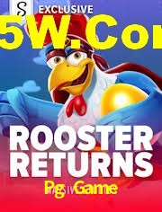 Experiência VIP Pg Game